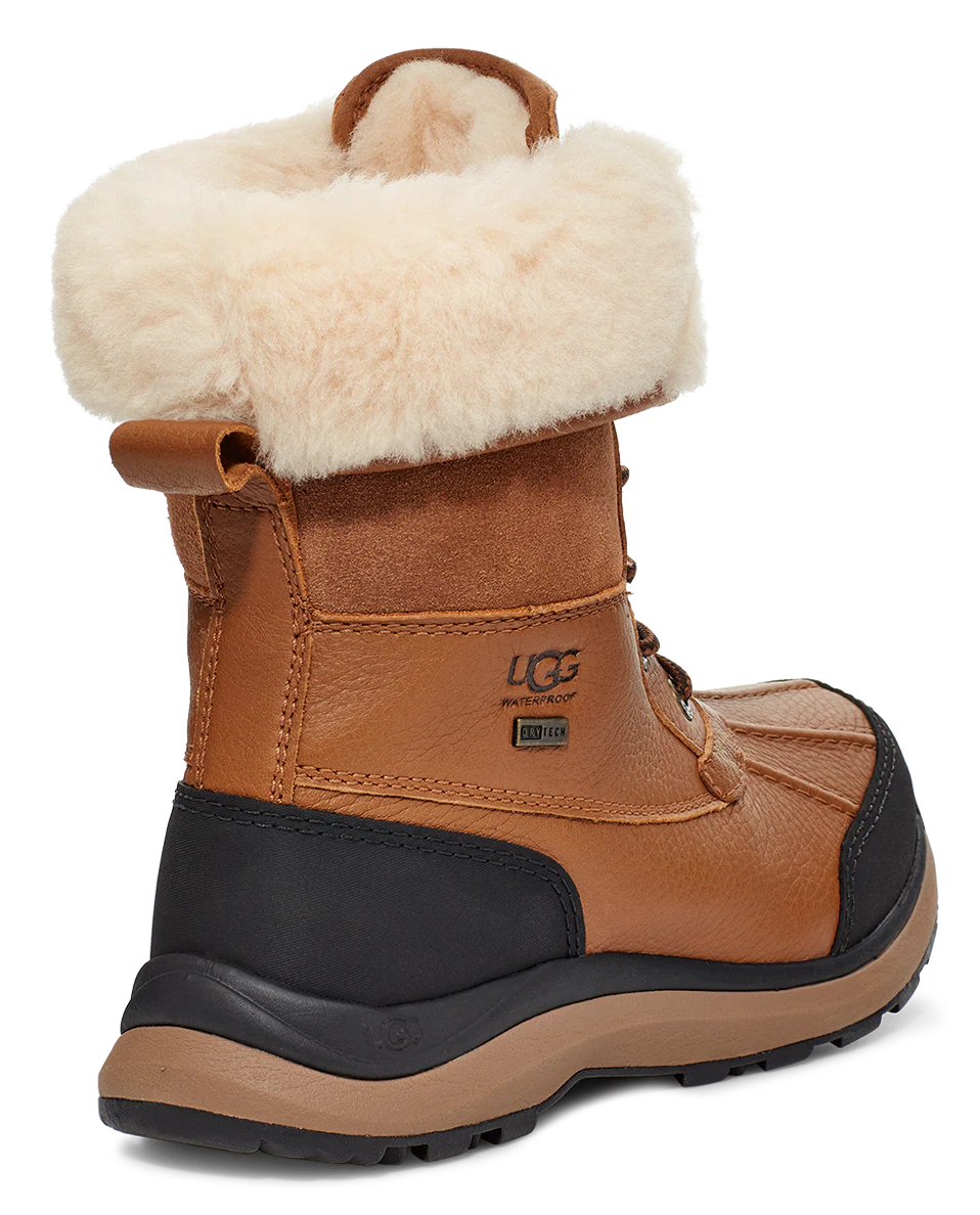 Women's Adirondack Boot III Chestnut - Image 4